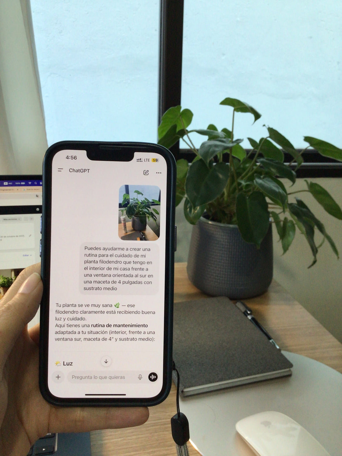 Puede ayudarme la Inteligencia Artificial con mis plantas?