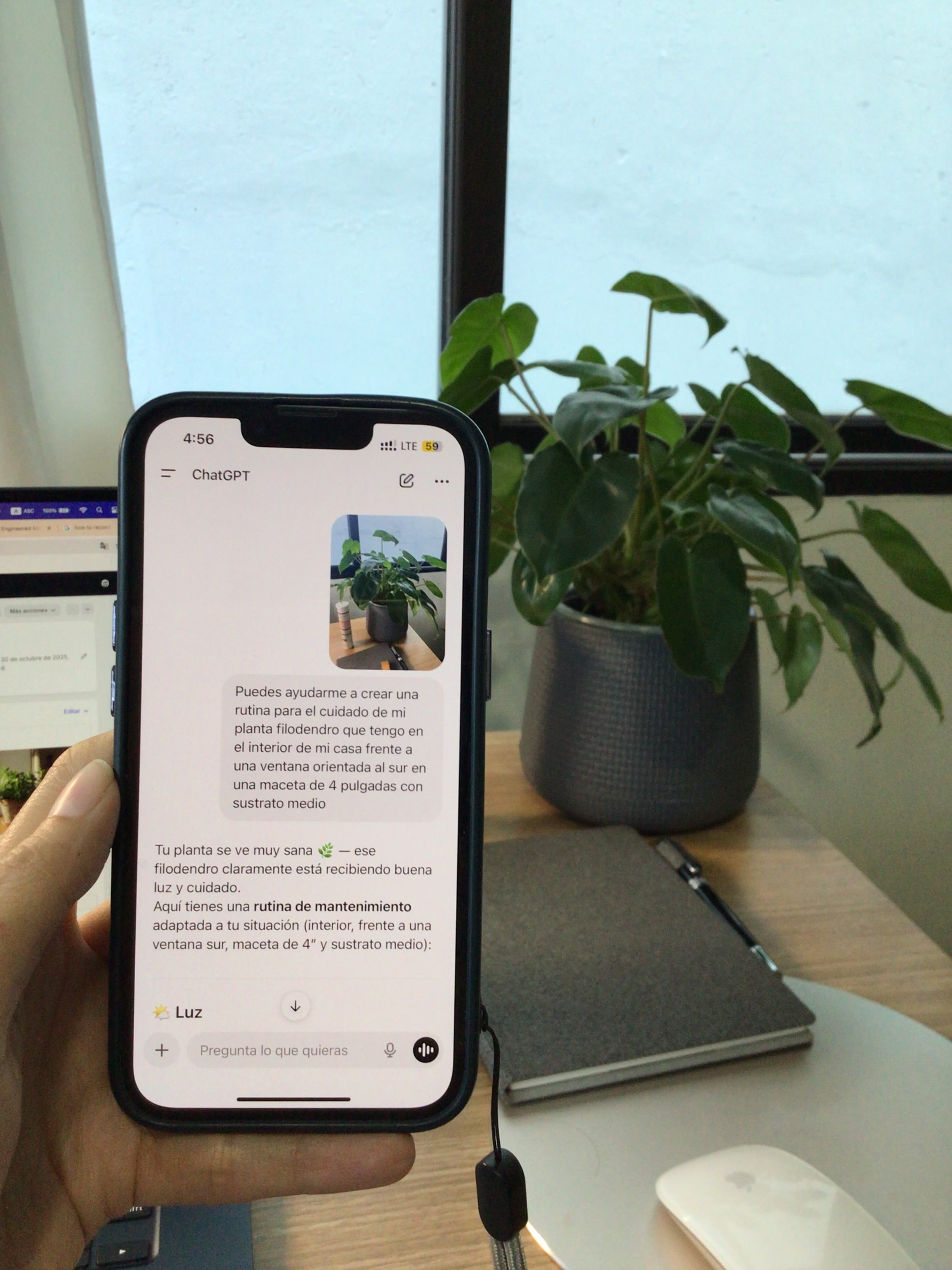 Puede ayudarme la Inteligencia Artificial con mis plantas?