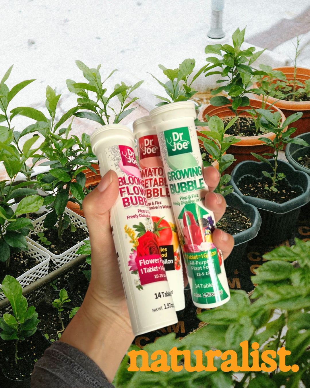 Porqué la fertilización es necesaria para tus plantas en macetas