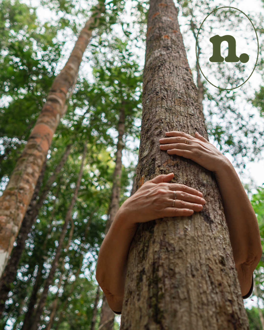 Biofilia:  un inherente amor por los organismos vivos