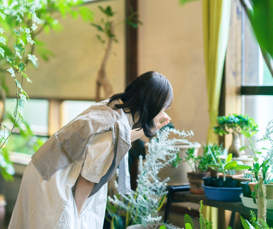 Cómo integrar plantas a tu casa cuando no tienes un jardín