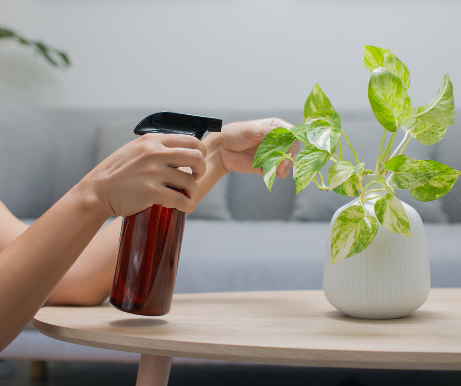 Fertilizante foliar: por qué tus plantas necesitan más que NPK