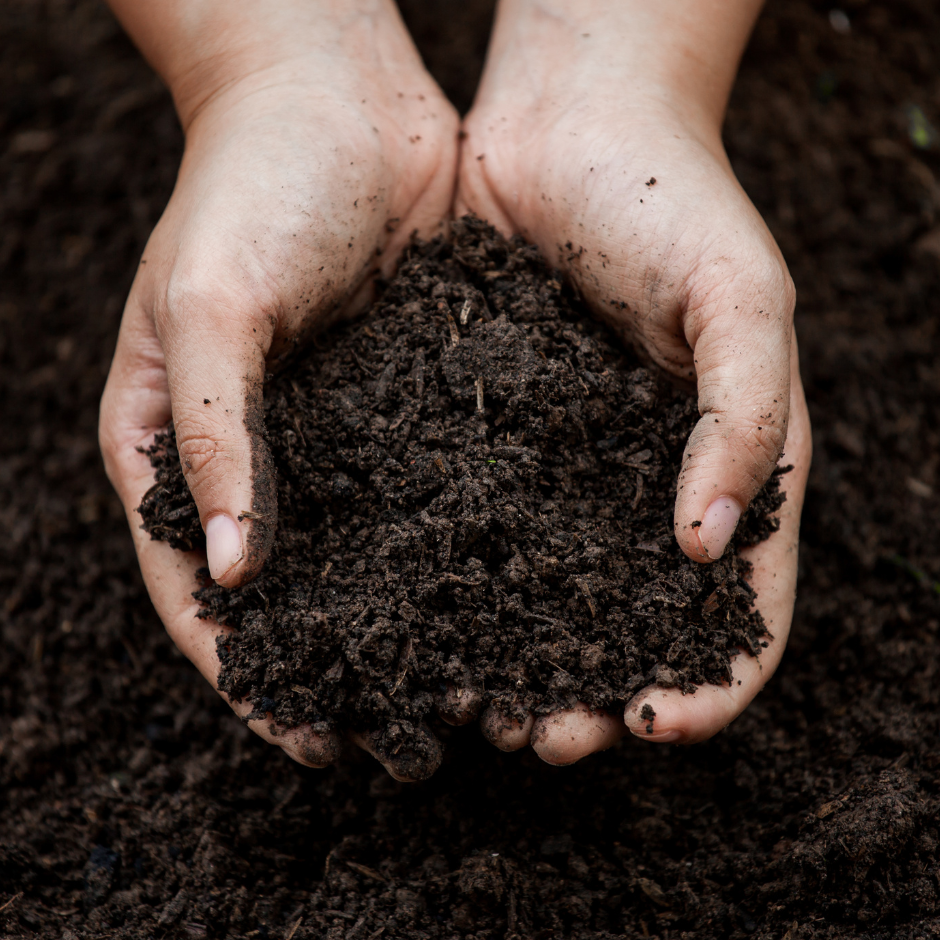 Qué son los bioestimulantes para plantas y para qué sirven