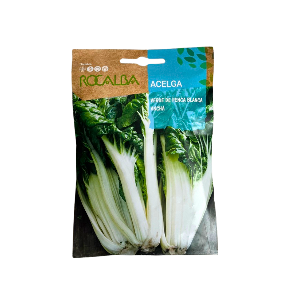 SEMILLA DE ACELGA