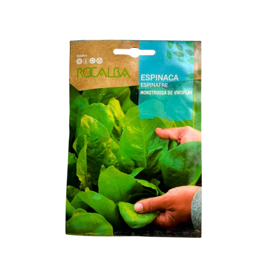 SEMILLA DE ESPINACA