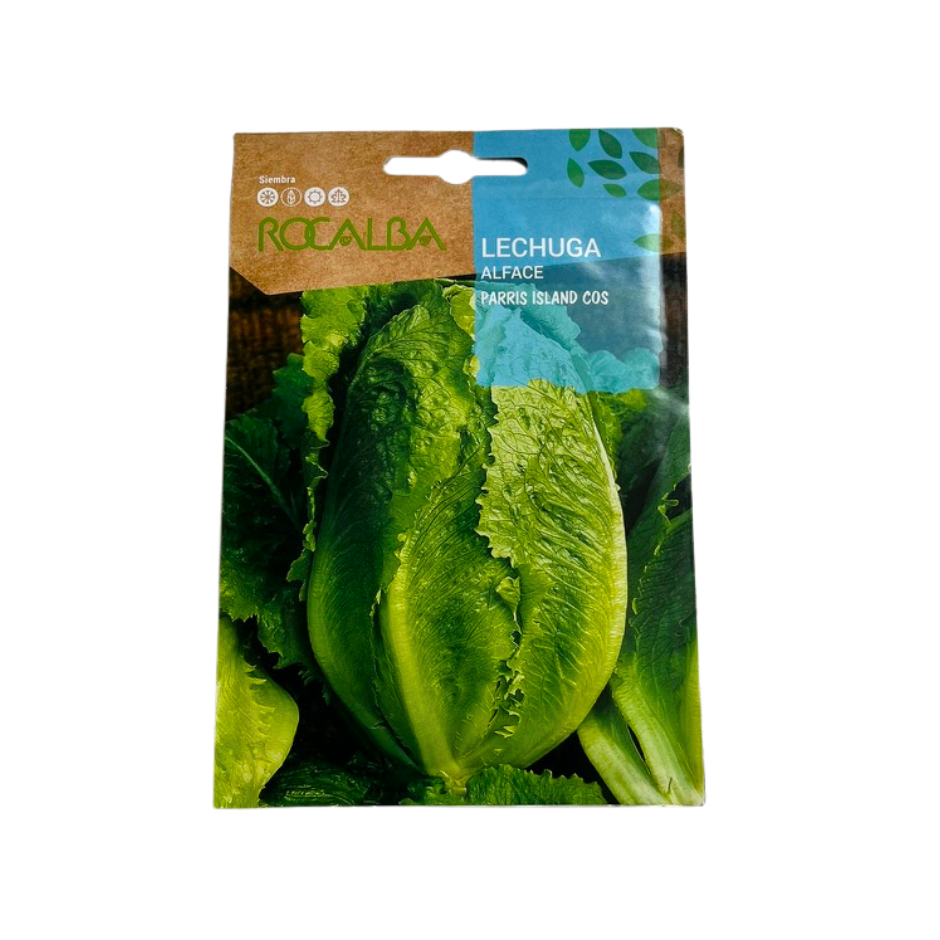 SEMILLA DE LECHUGA ROMANA