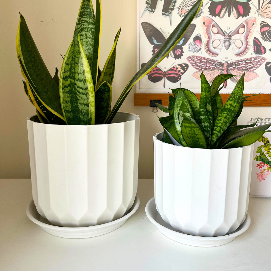 MACETA PRISMA M SET 2