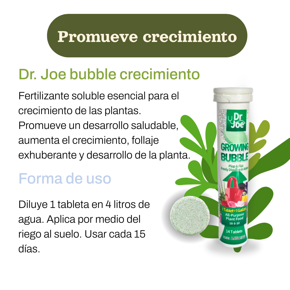 KIT NUTRICIÓN BUBBLE