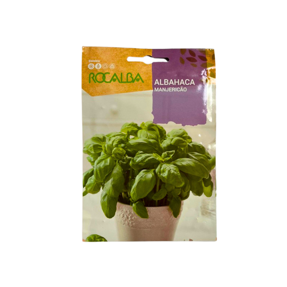 SEMILLA DE ALBAHACA