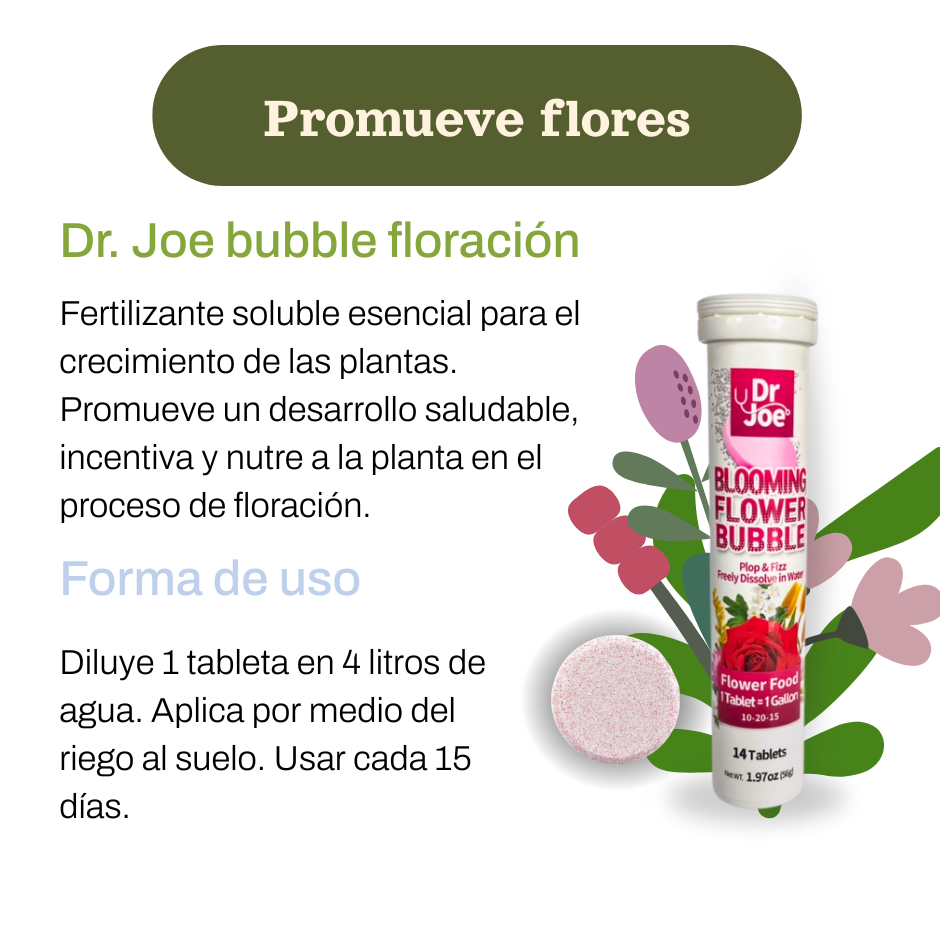 KIT NUTRICIÓN BUBBLE