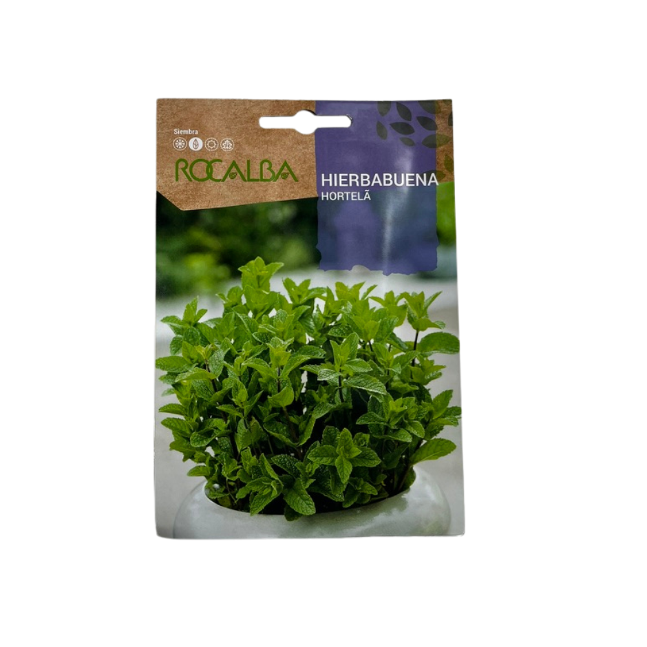 SEMEMILLA DE HIERBABUENA