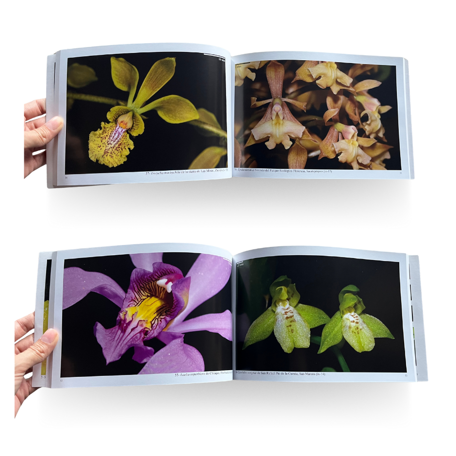 Libro: 124 Orquideas de Guatemala