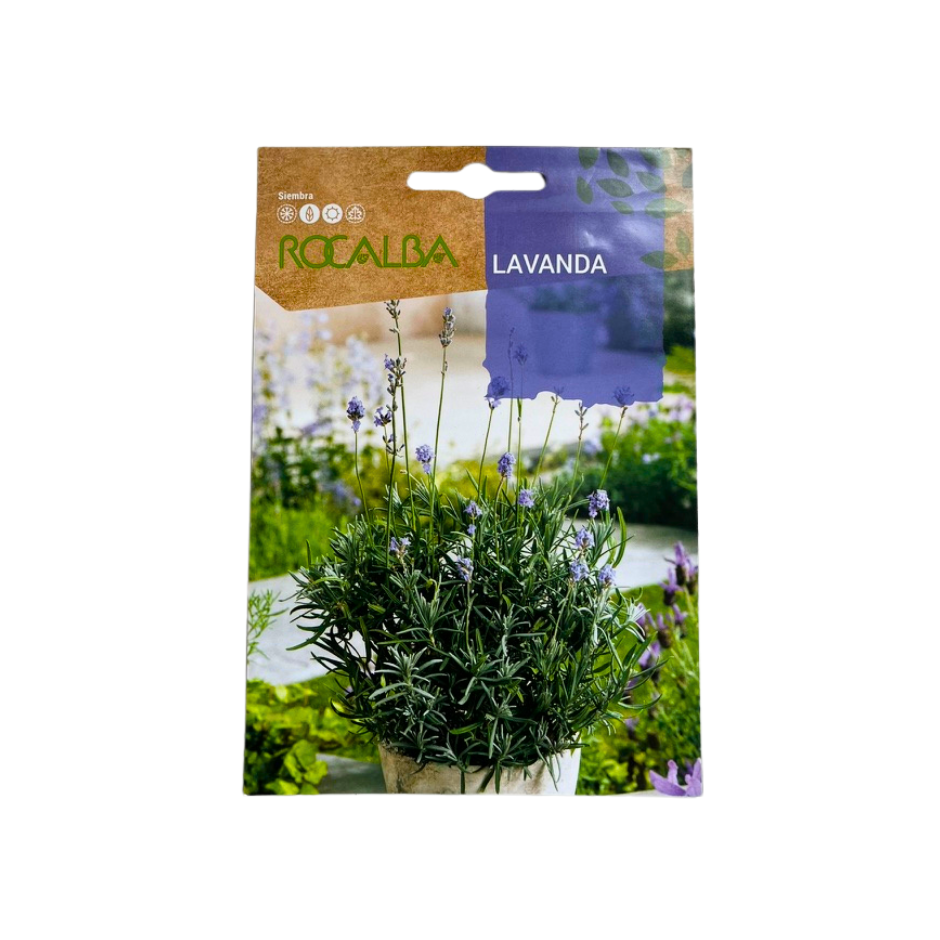 SEMILLA DE LAVANDA