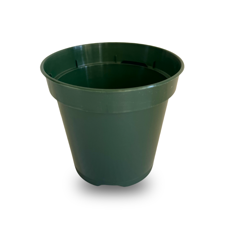 MACETA PLASTICA 3.5" (PAQUETE 6)