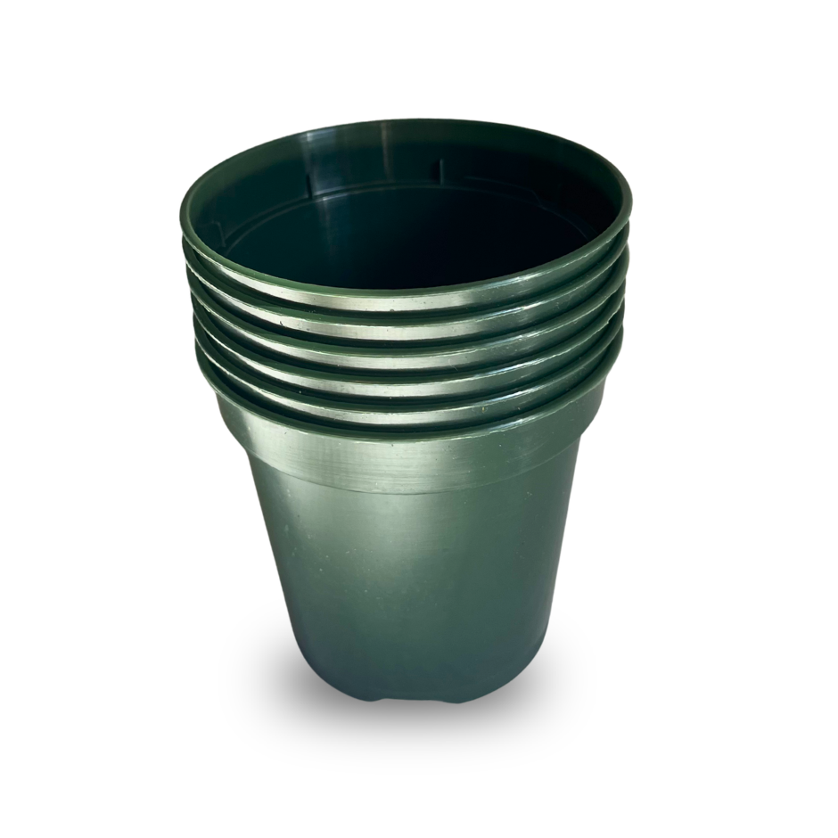MACETA PLASTICA 3.5" (PAQUETE 6)