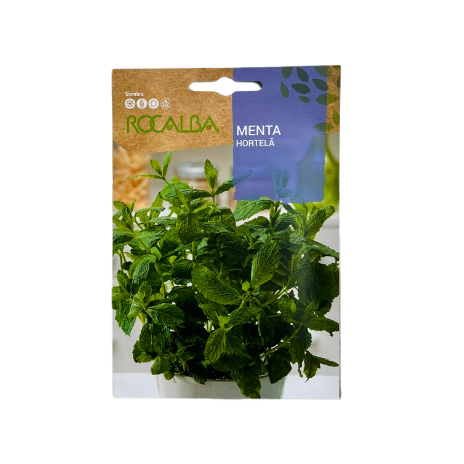 SEMILLA DE MENTA