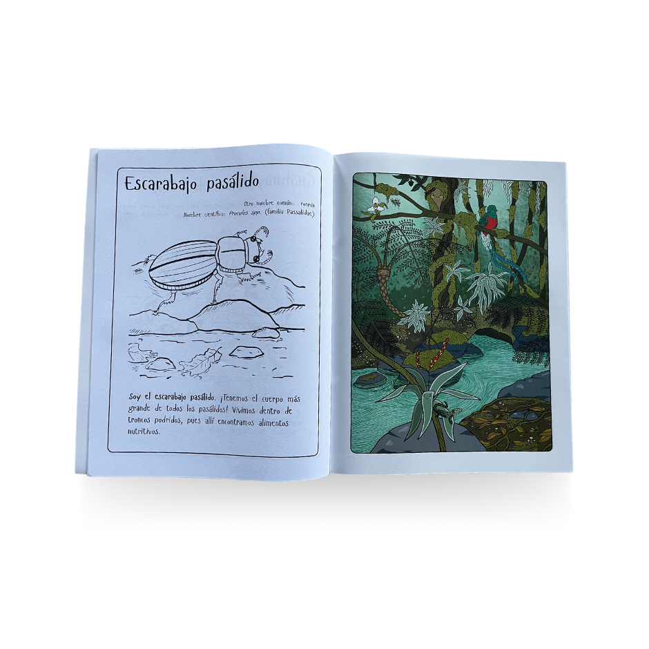 Libro: El bosque nuboso