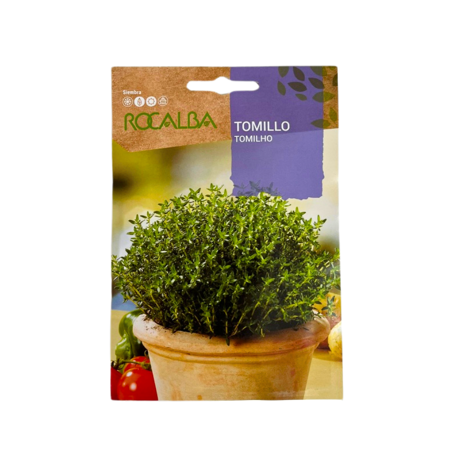 SEMILLA DE TOMILLO
