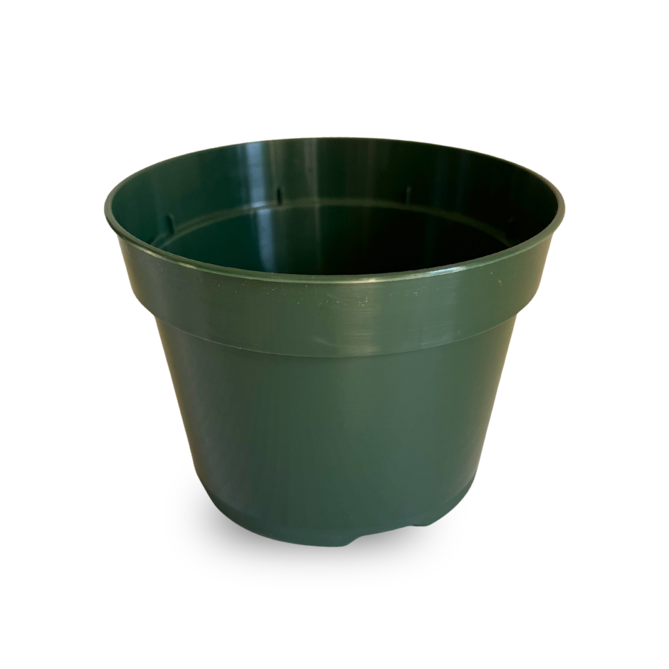 MACETA PLASTICA 4" (PAQUETE 6)