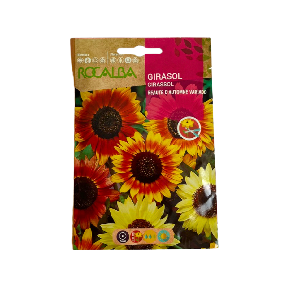 SEMILLA DE GIRASOL BEAUTÉ