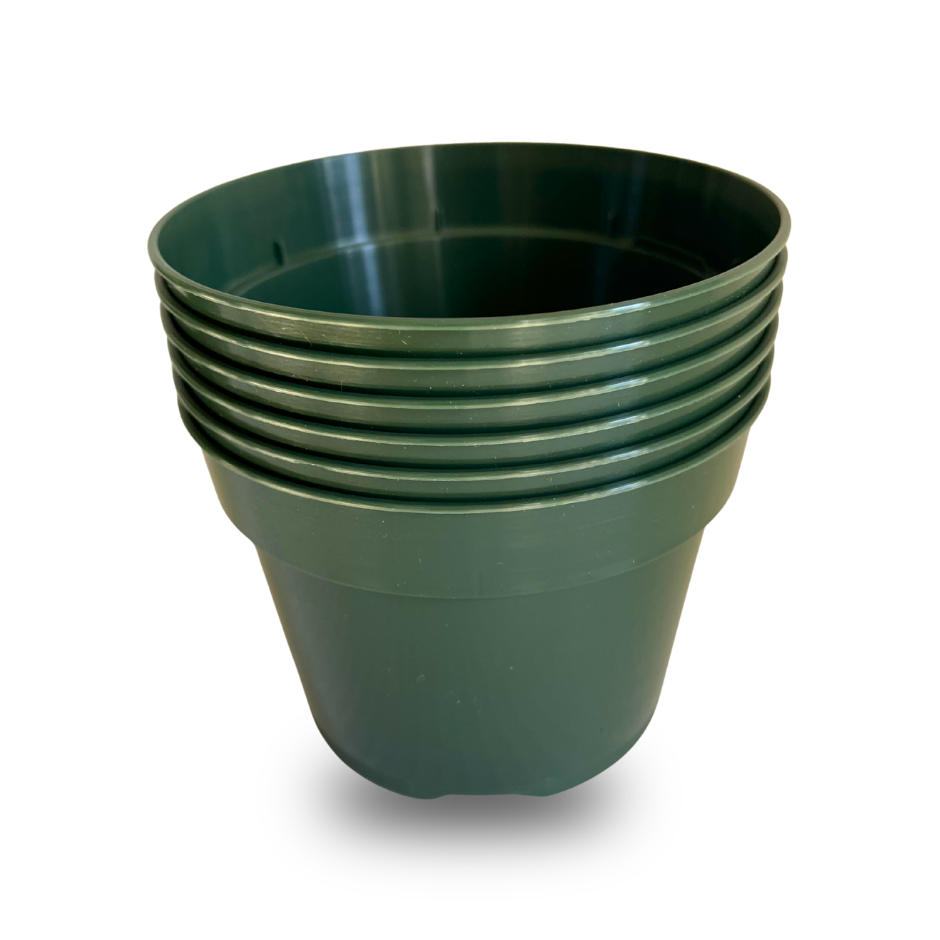 MACETA PLASTICA 4" (PAQUETE 6)