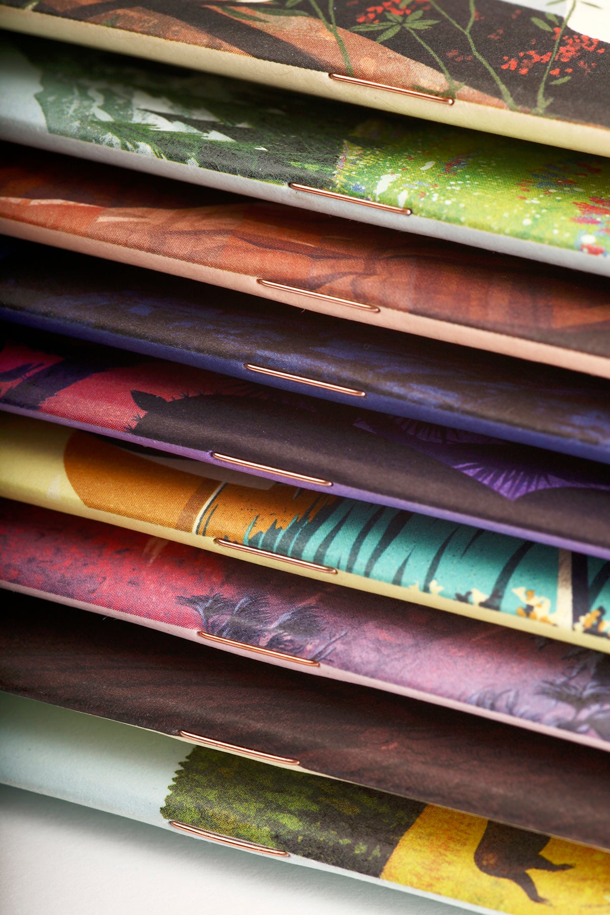 NATIONAL PARKS NOTEBOOKS