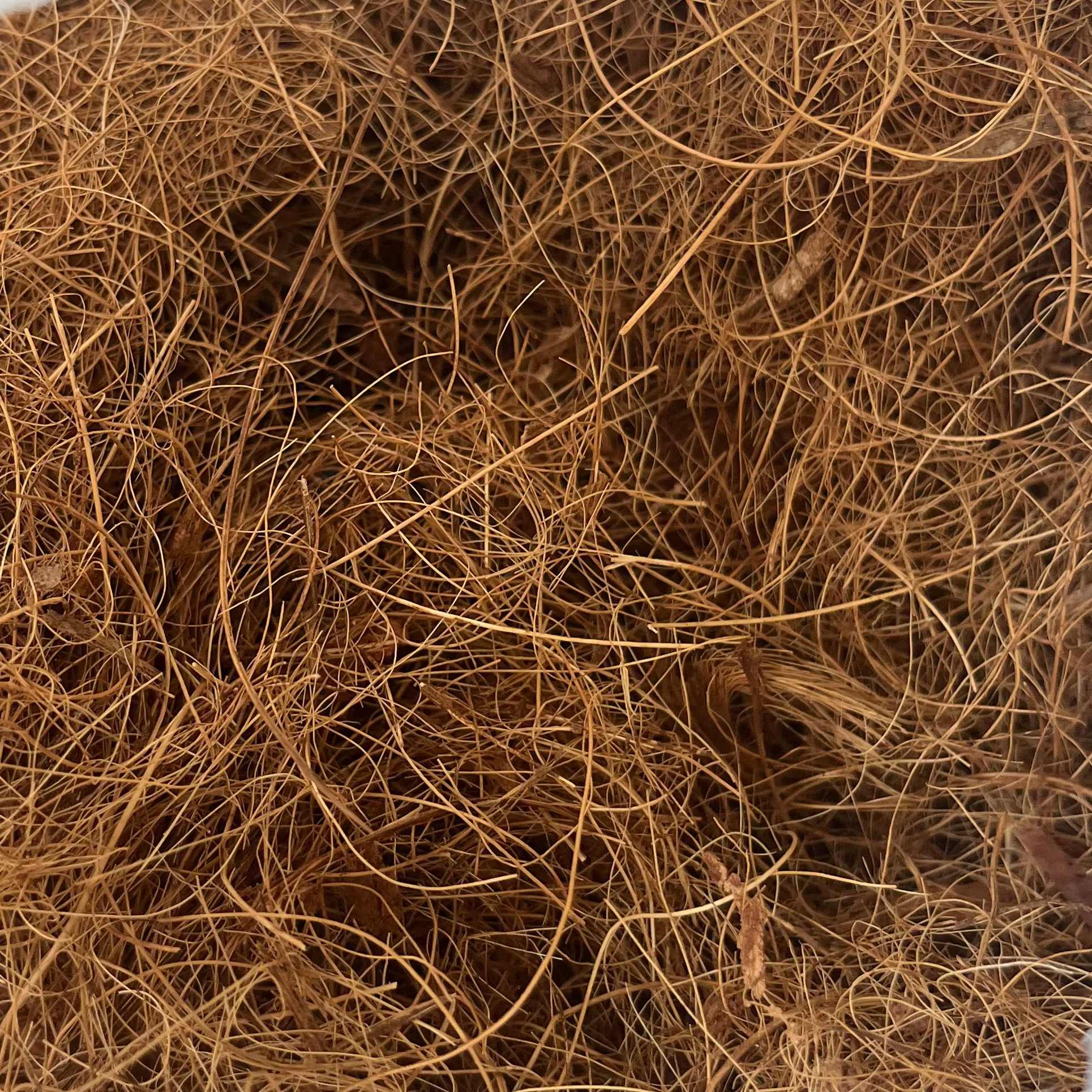 SUSTRATO FIBRA DE COCO