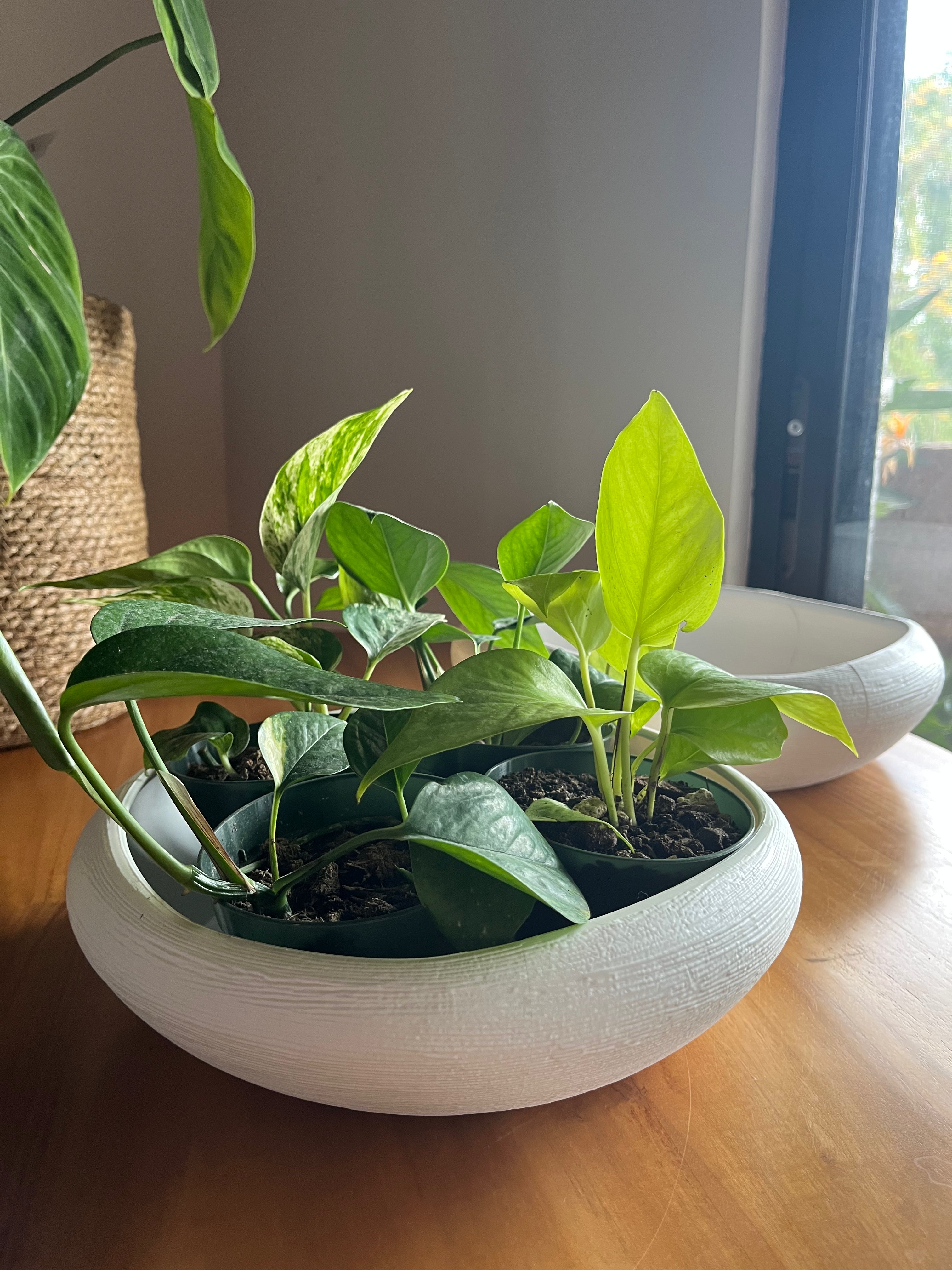 SET 2 MACETAS GREECE