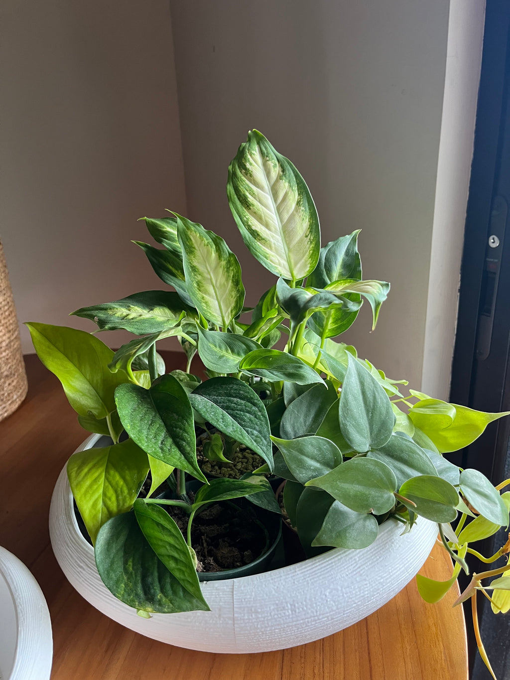 SET 2 MACETAS GREECE