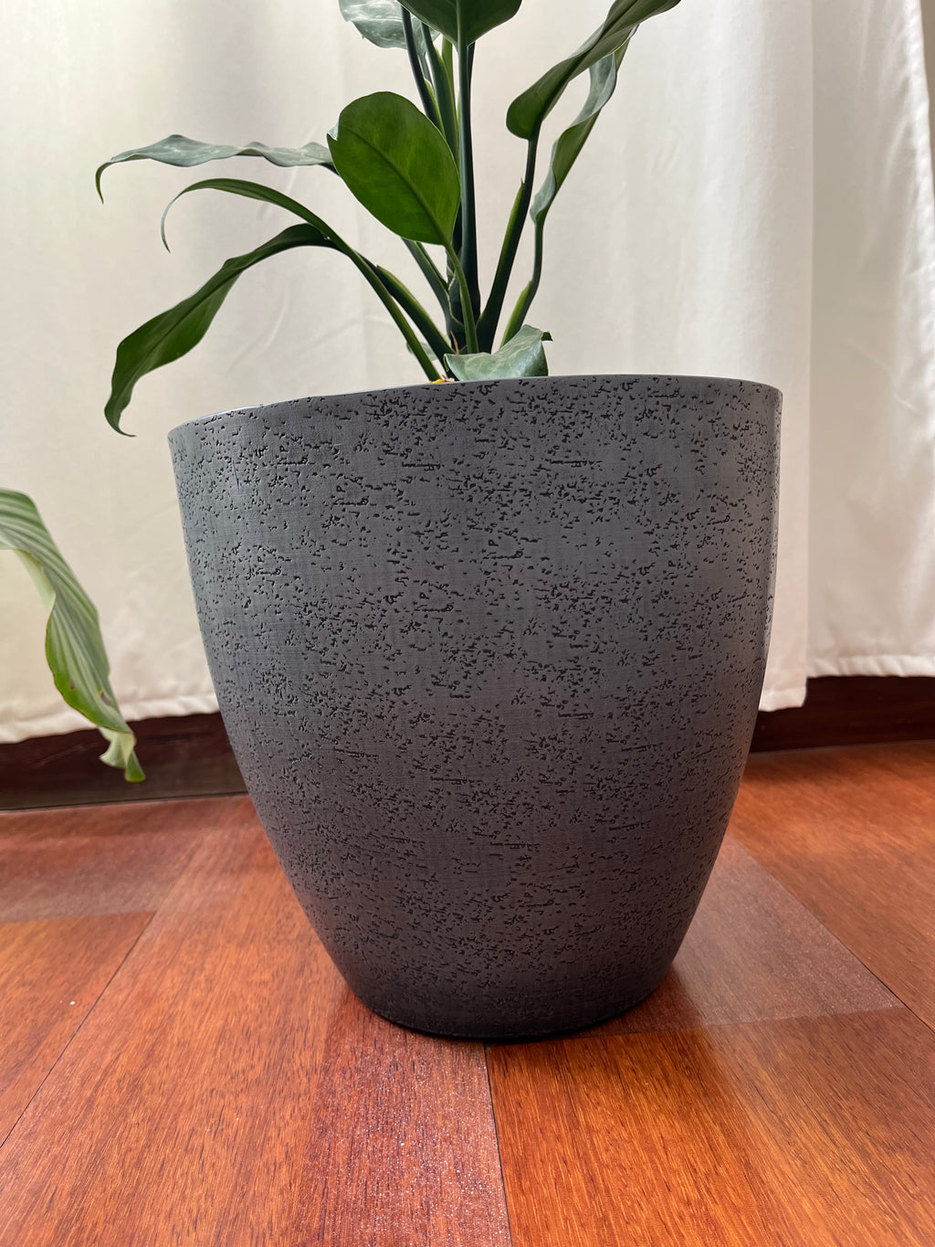 MACETA CALIZA