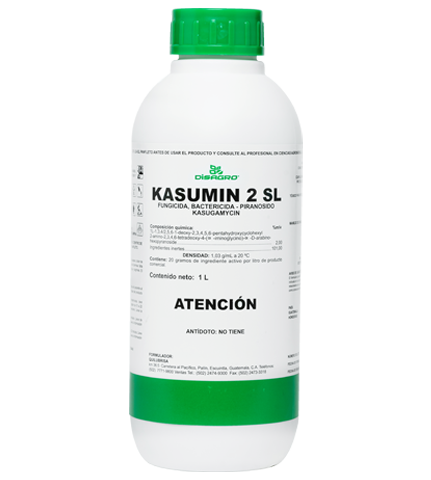 KASUMIN FUNGICIDA-BACTERICIDA 1L