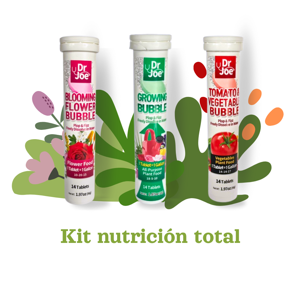KIT NUTRICIÓN BUBBLE