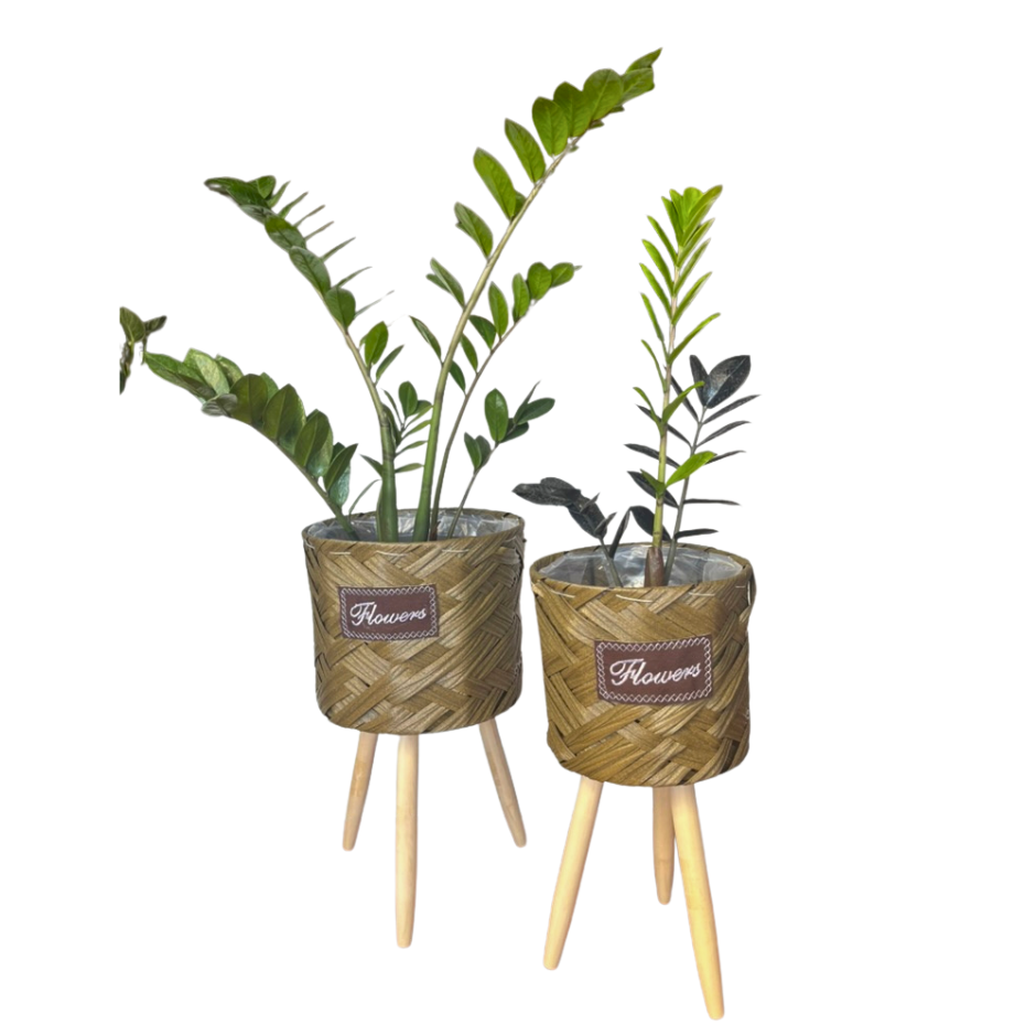 SET MACETAS DECORATIVAS STAND