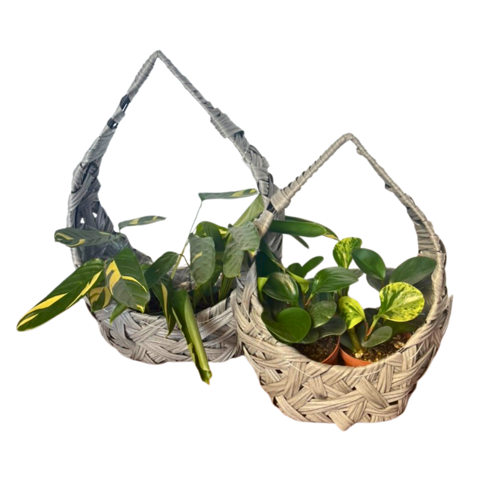 SET CANASTAS DECORATIVAS NEST