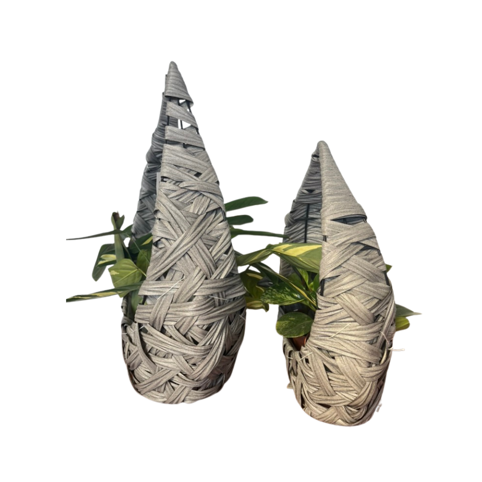 SET CANASTAS DECORATIVAS NEST