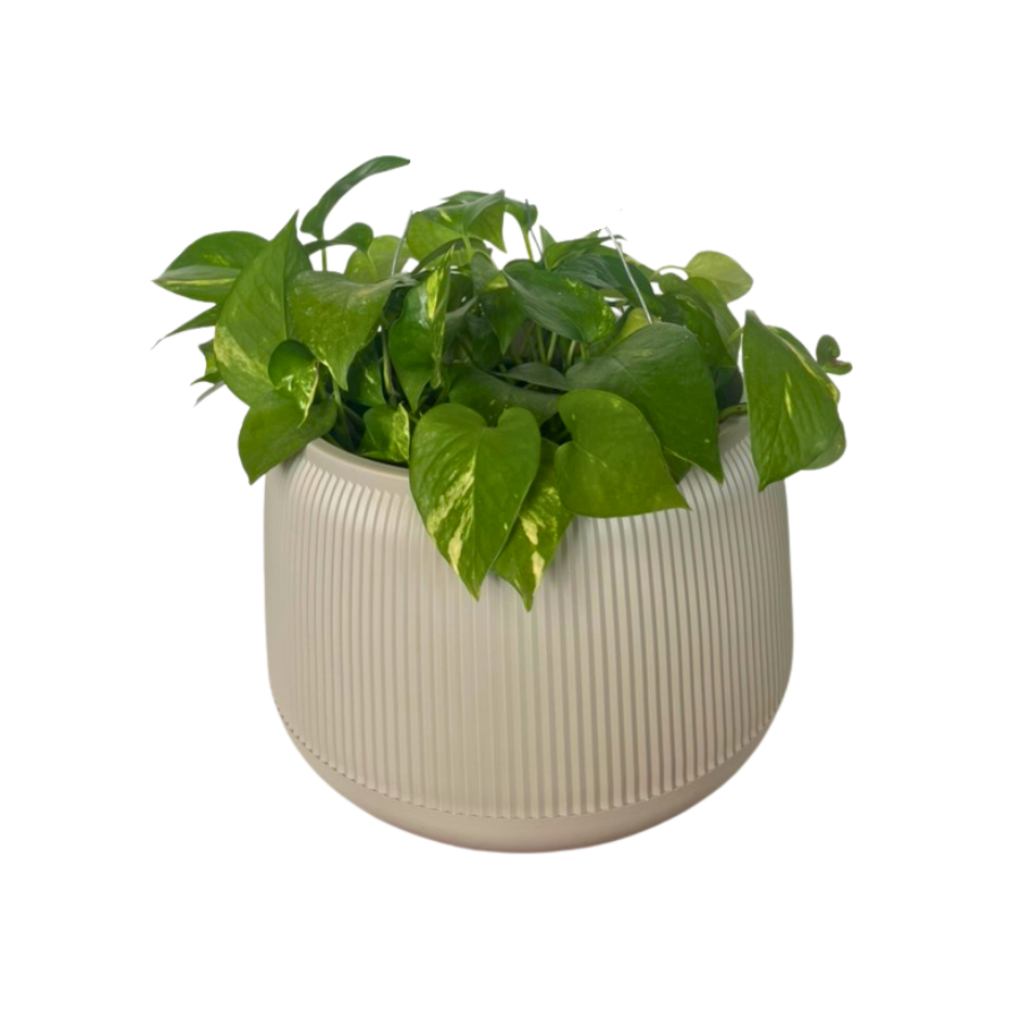 MACETA PEBBLES GRANDE