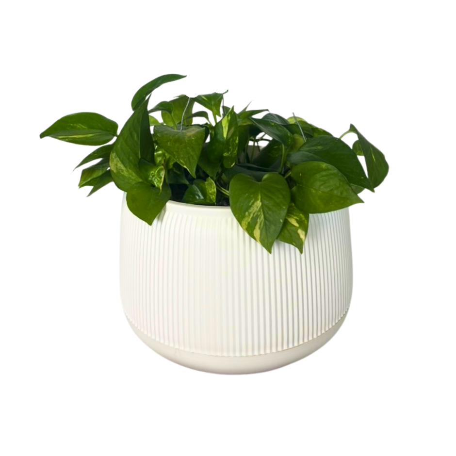 MACETA PEBBLES GRANDE