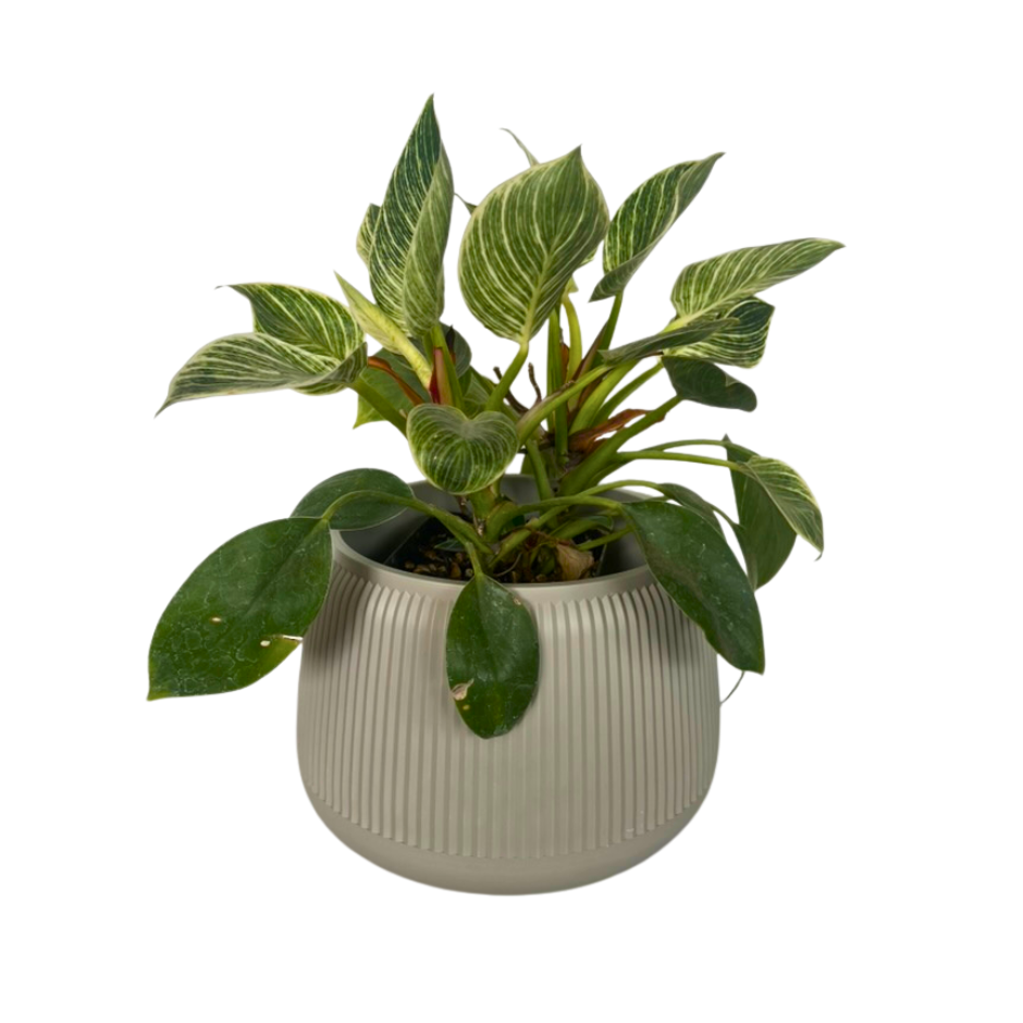 MACETA PEBBLES MEDIANA