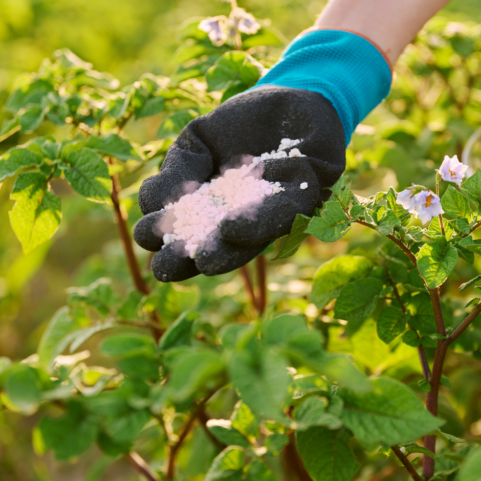 Fertilizante FertiJARDÍN Flores 2 kg