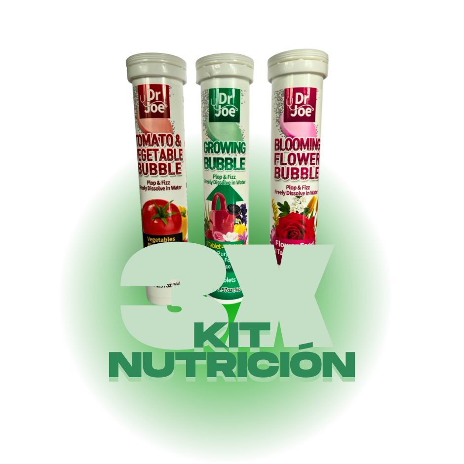 KIT NUTRICIÓN BUBBLE